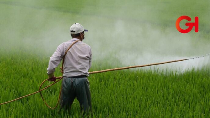 Puebla entre los 10 estados que reactivarán el campo mexicano