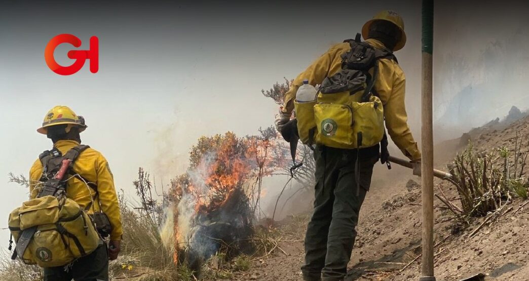 Incendios forestales arrasan más de 2,600 hectáreas en Puebla