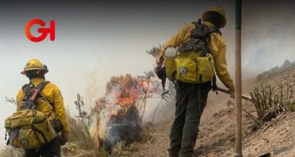 Incendios forestales arrasan más de 2,600 hectáreas en Puebla