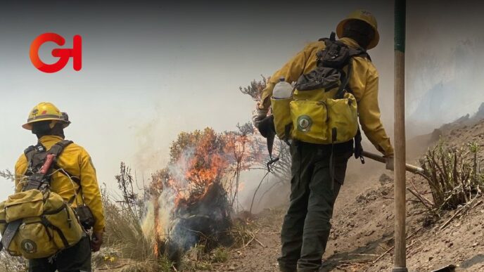 Incendios forestales arrasan más de 2,600 hectáreas en Puebla