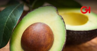 Puebla se prepara para ser uno de los tres mayores productores de aguacate en México