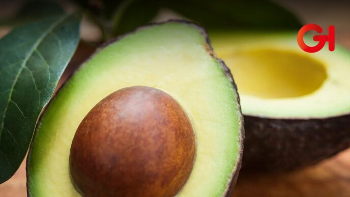 Puebla se prepara para ser uno de los tres mayores productores de aguacate en México