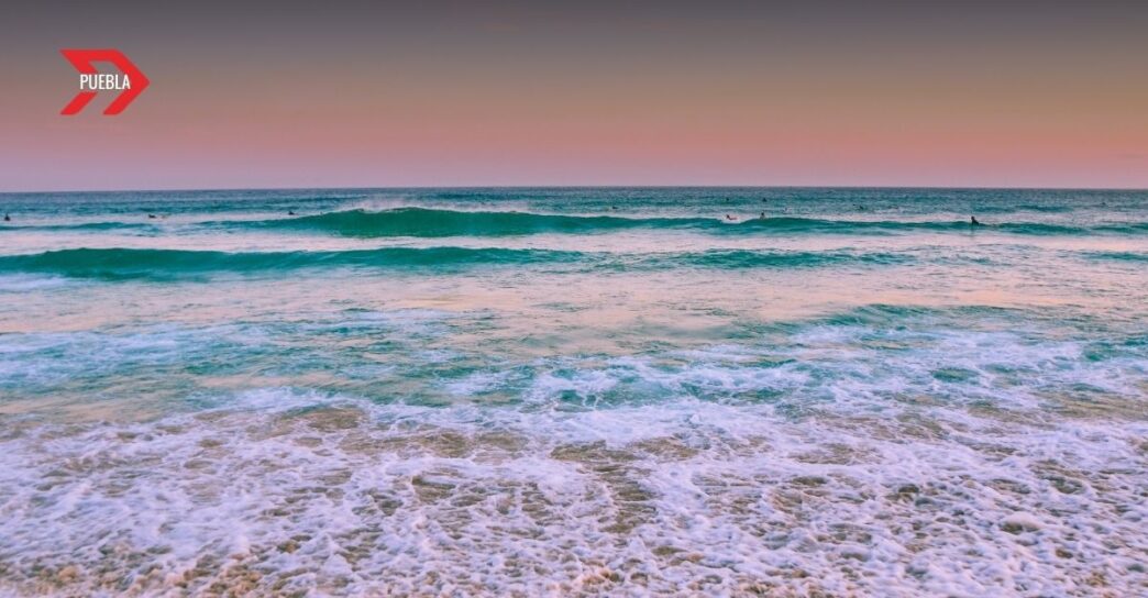 Cofepris alerta sobre playas no aptas para uso recreativo previo a Semana Santa