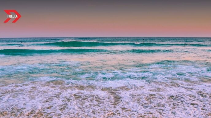 Cofepris alerta sobre playas no aptas para uso recreativo previo a Semana Santa