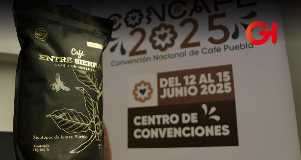 concafé 2025 barista
