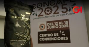 concafé 2025 barista