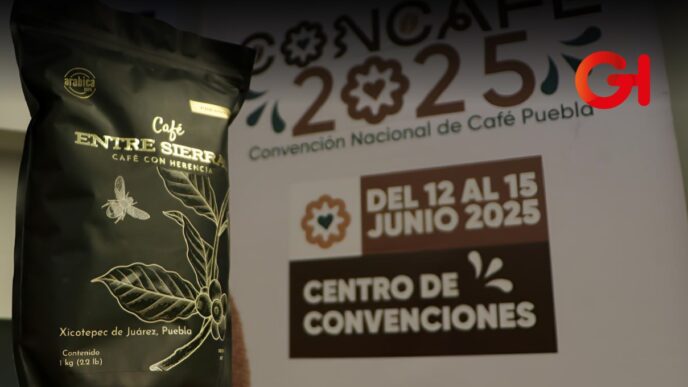 concafé 2025 barista