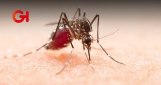 Reportan 55 casos de dengue en Puebla durante 2025