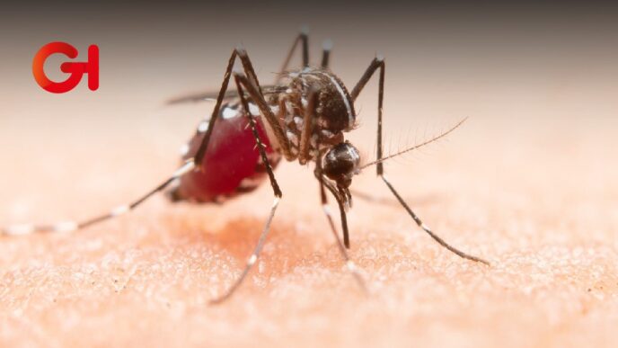 Reportan 55 casos de dengue en Puebla durante 2025