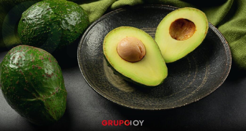 Brasil abre su mercado al aguacate mexicano: Oportunidad de oro para el campo nacional