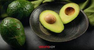 Brasil abre su mercado al aguacate mexicano: Oportunidad de oro para el campo nacional