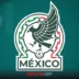 Javier Aguirre revela convocatoria de la Selección Mexicana para mini ciclo previo a la Fecha FIFA