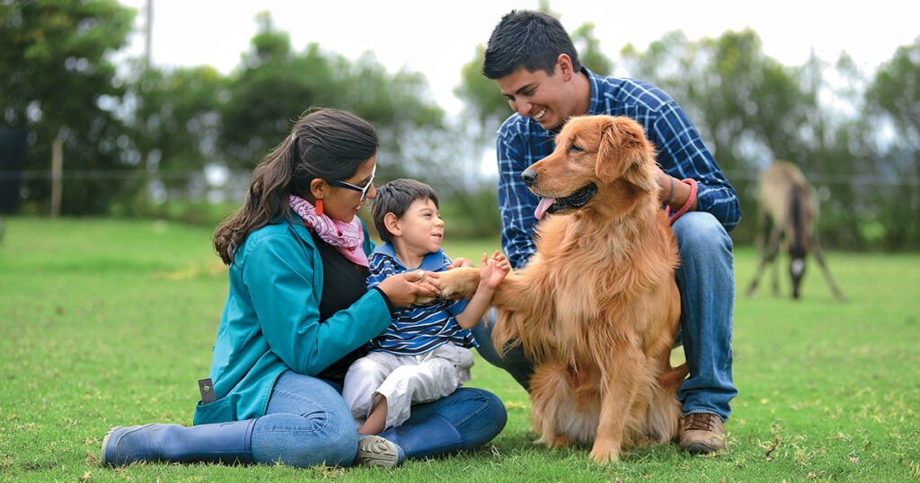 caninoterapia
