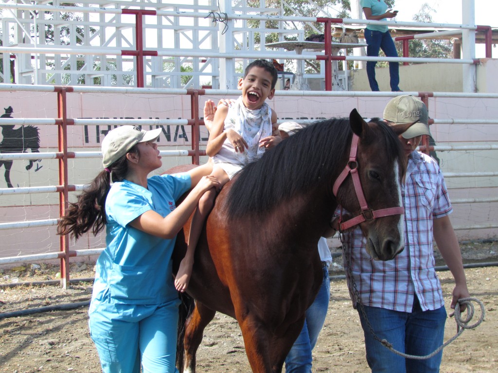 equinoterapia