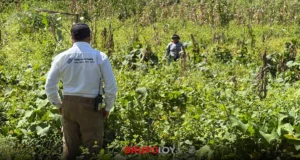 Sube a 22 el número de fallecidos por lluvias en Puebla