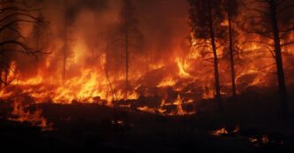 Incendios forestales en Puebla 2026: 85 siniestros y más de 1,485 hectáreas afectadas
