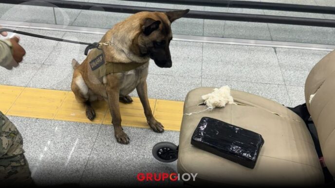 Detienen en el AICM a hombre con casi 9 kilos de cocaína ocultos en una silla de ruedas