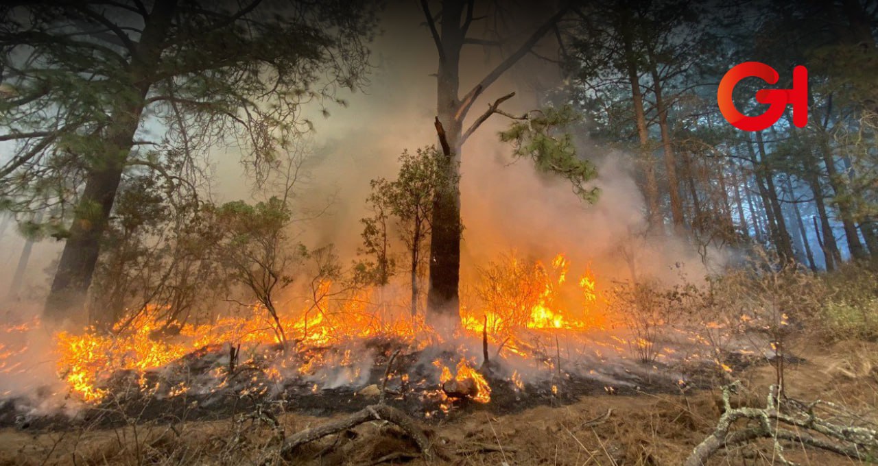 incendios forestales Tlaxcala