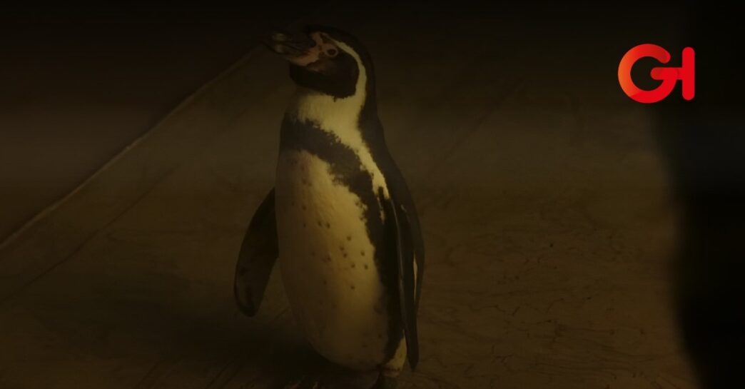 Lecciones de un Pinguino