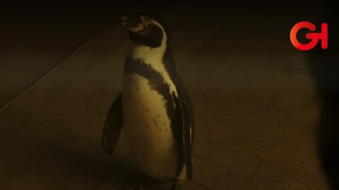 Lecciones de un Pinguino