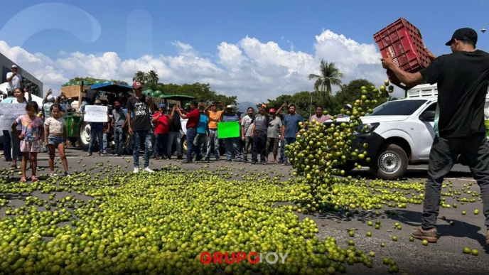Productores de limón de Apatzingán protestan por precios bajos