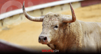 Corridas de toros Apizaco 2025: programa confirmado y cancelación en Año Nuevo