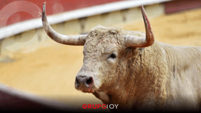 Corridas de toros Apizaco 2025: programa confirmado y cancelación en Año Nuevo