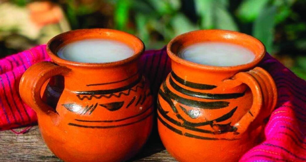 Pulque de Tlaxcala obtiene la indicación geográfica