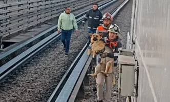 Rescate de un perro interrumpe circulación en la Línea B del Metro de la CDMX