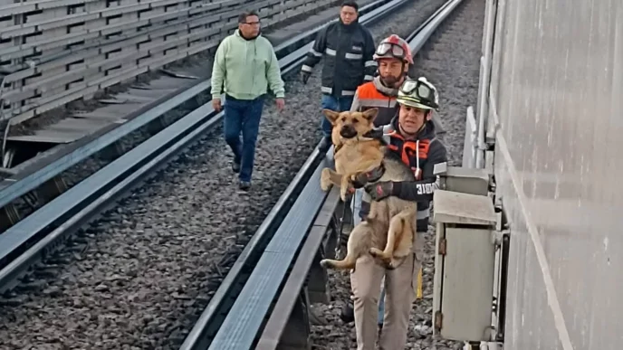 Rescate de un perro interrumpe circulación en la Línea B del Metro de la CDMX