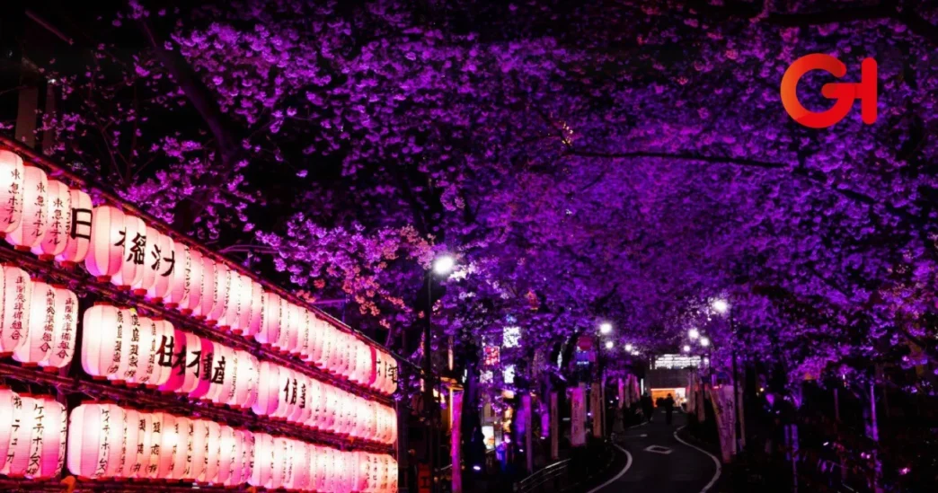 Festival Japonés