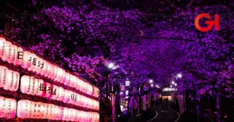 Festival Japonés