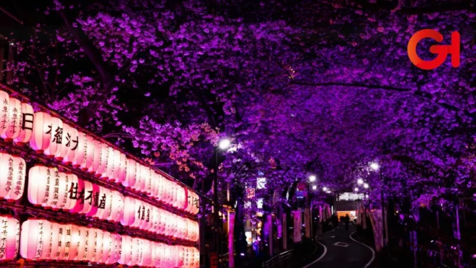 Festival Japonés