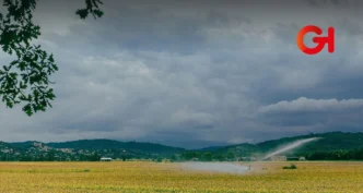 Conagua detecta 7,000 irregularidades en concesiones de agua destinadas a uso agrícola