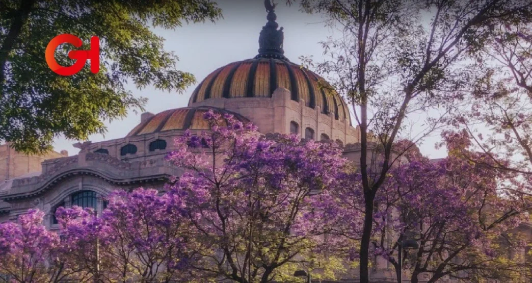 Ricardo Salinas Pliego lanza concurso para premiar la mejor foto de las jacaranda en la CDMX
