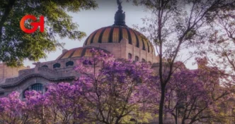 Ricardo Salinas Pliego lanza concurso para premiar la mejor foto de las jacaranda en la CDMX