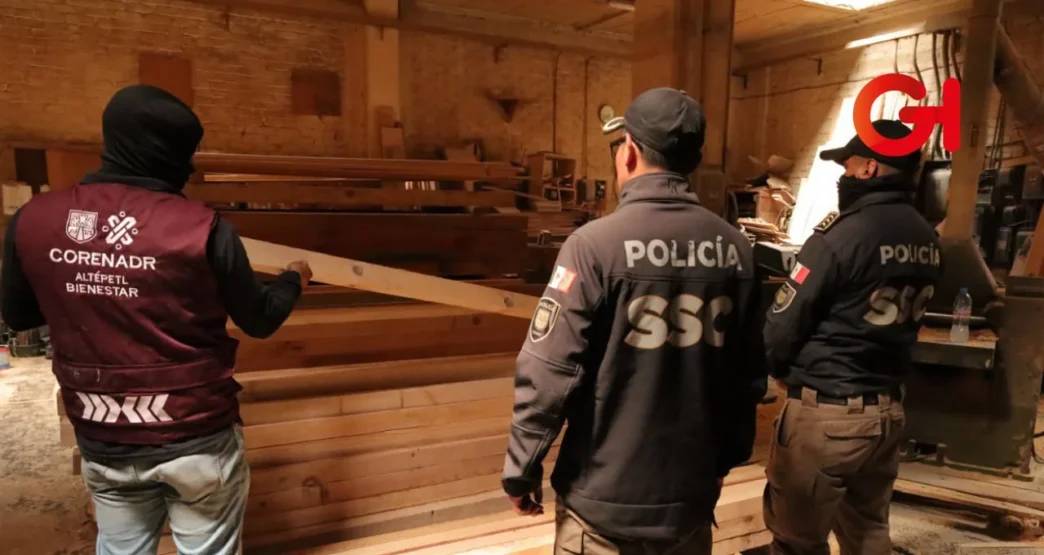 Golpe al lavado de madera ilegal en CDMX: aseguran más de 115 m³ en Iztacalco