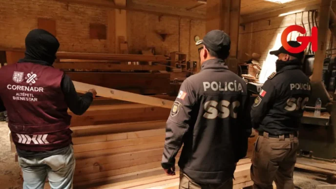 Golpe al lavado de madera ilegal en CDMX: aseguran más de 115 m³ en Iztacalco