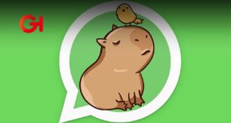modo capibara