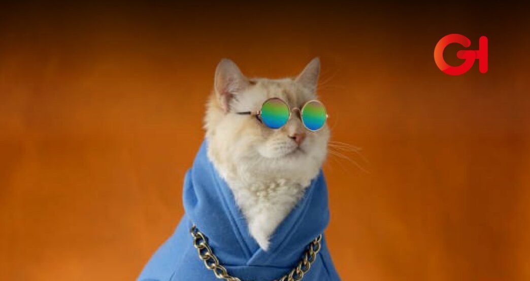 Cat Fashion Weekend 2025: Moda, Adopciones y Diversión por los Gatos en CDMX