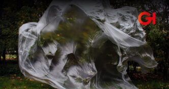 'Desde el regazo de un pájaro'. La exposición del MUAC que nos acerca a lo que habita lo natural
