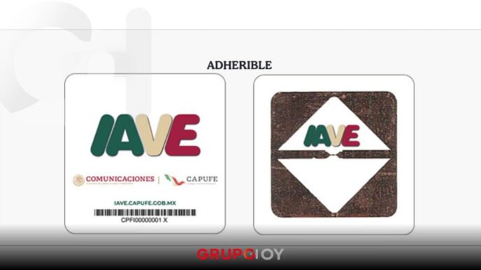 TAG IAVE 009 dejará de funcionar en agosto