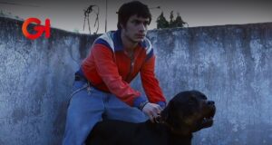 MUBI Fest revivirá “Amores Perros” en la pantalla grande y con calidad 4K en la Cineteca