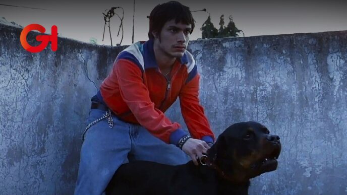 MUBI Fest revivirá “Amores Perros” en la pantalla grande y con calidad 4K en la Cineteca