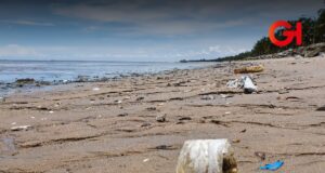 ¡Ni te metas! Cofepris declara cuatro playas de Acapulco no aptas por contaminación
