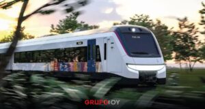 Pérdidas del Tren Maya