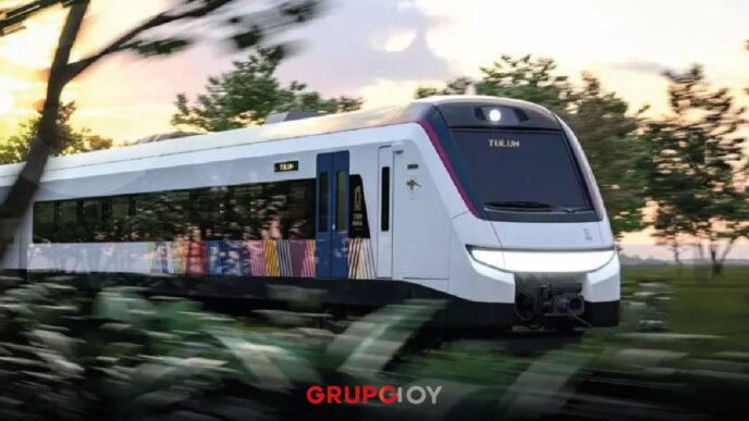 Pérdidas del Tren Maya