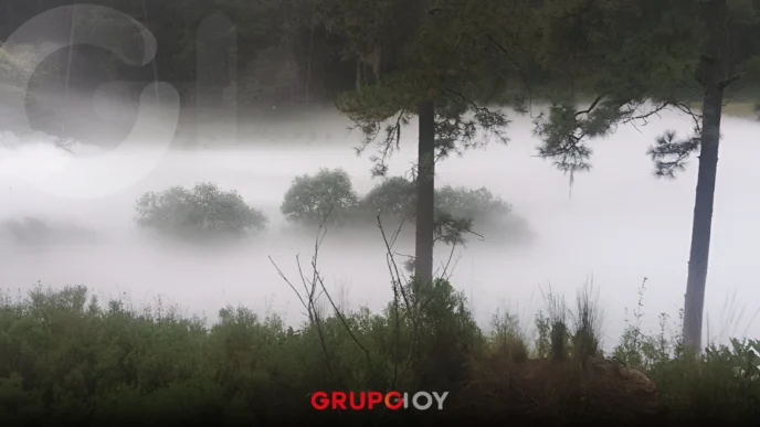 Evacúan comunidades de Nanacamilpa por escape de gas