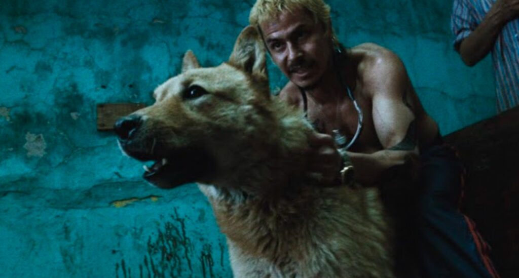 ¿Cuándo se reestrena en cines 'Amores perros' por sus 25 años?