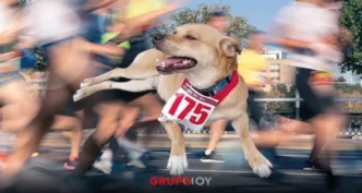 “Chicles” el perrito corredor